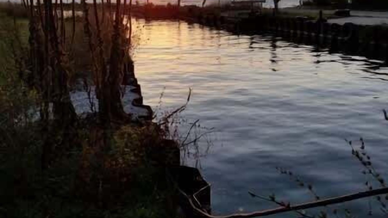 Photo of Others in Ellison Bay
