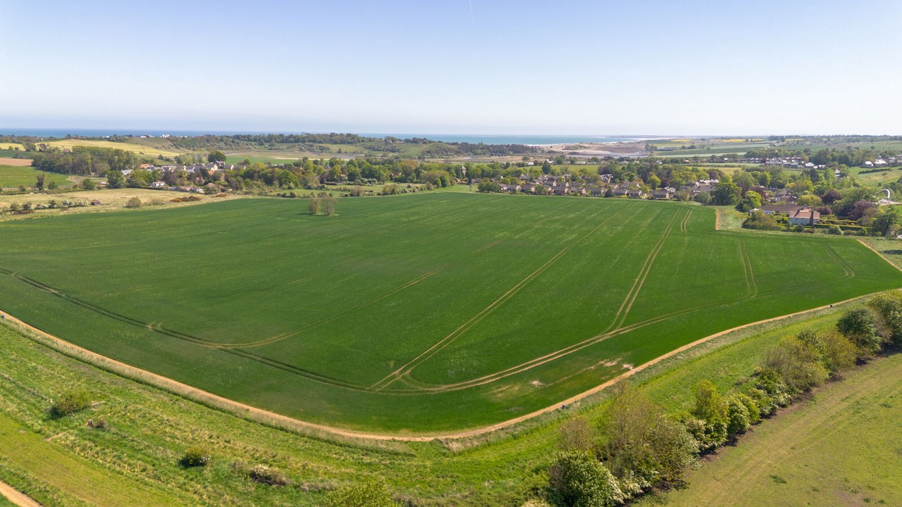 Photo of Others in Lesbury
