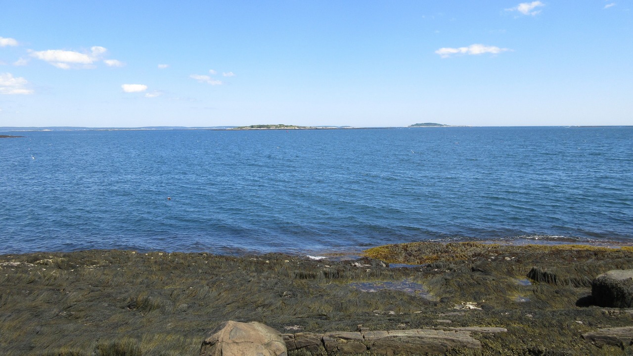 Photo of Others in Mid-Coast and Islands