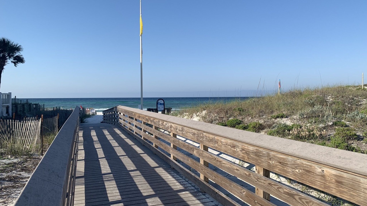 Photo of Others in Seagrove Beach