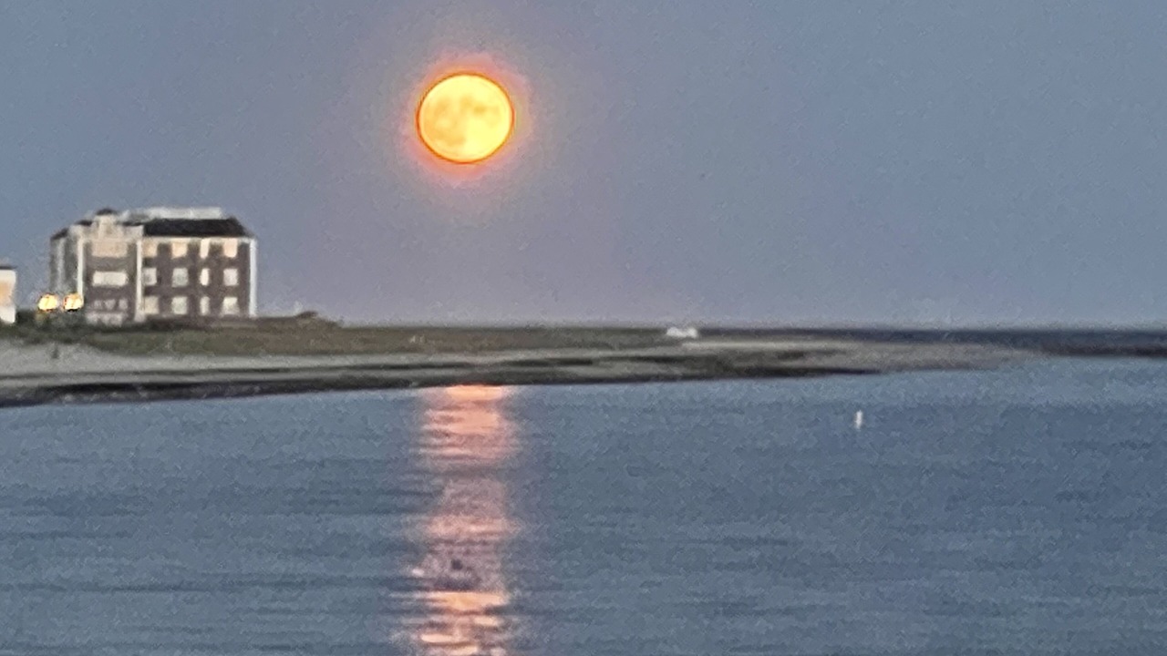 Photo of Others in Harwich Port