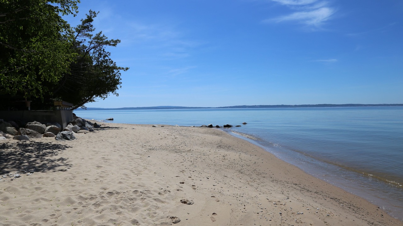 Photo of Others in Forest Beach