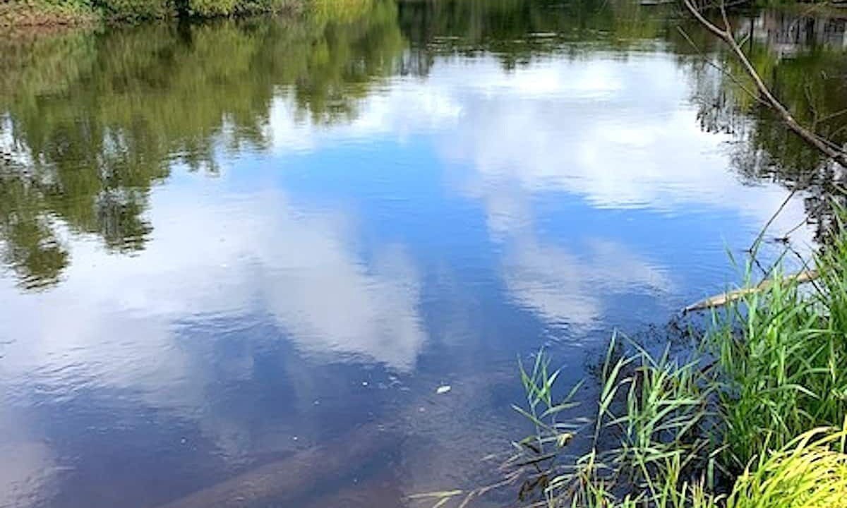 Photo of Outdoor in Trego
