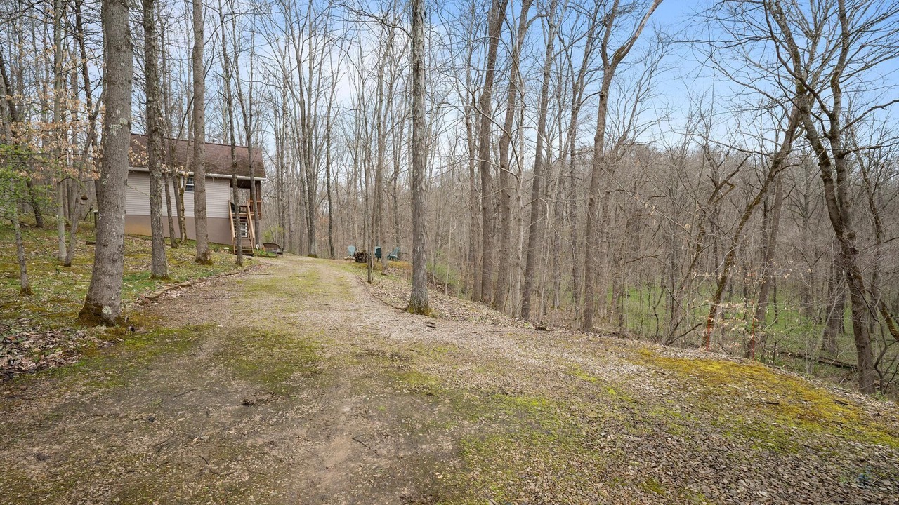 Photo of Outdoor in Carbon Hill