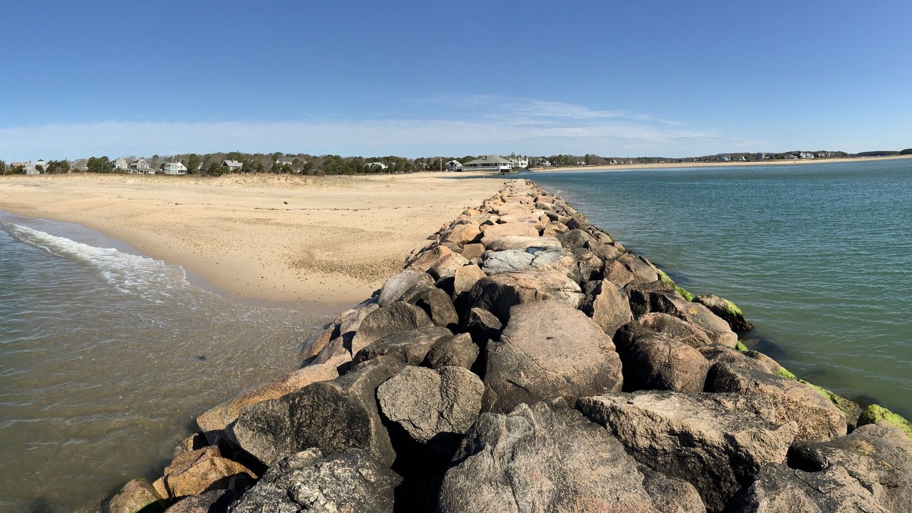 Photo of Others in East Falmouth
