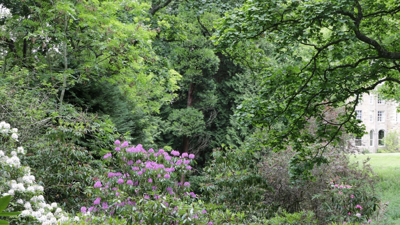 Photo of Outdoor in Ormiston