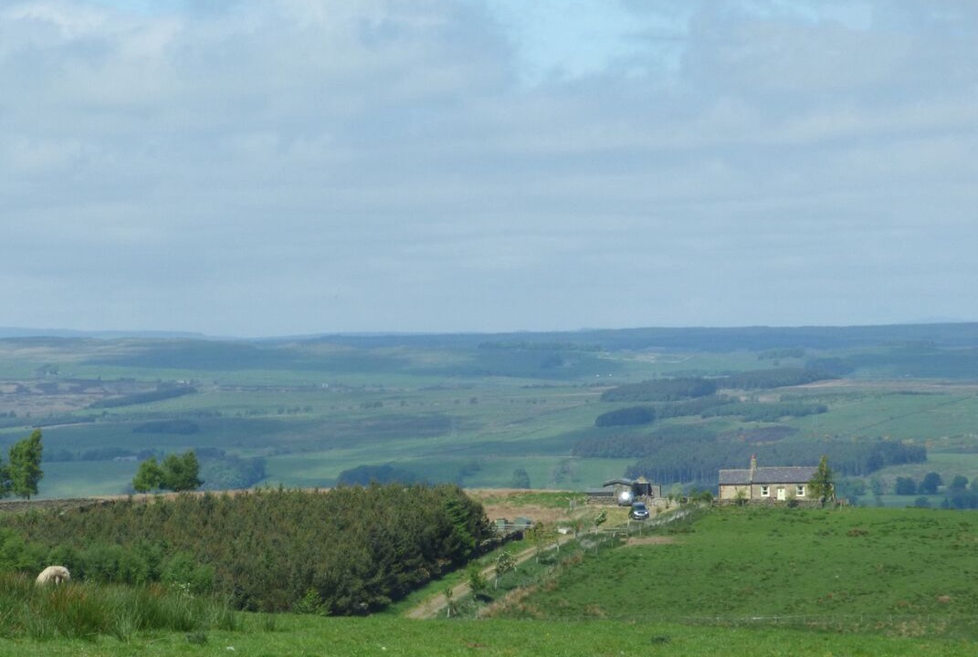 Photo of Others in Langley-on-Tyne