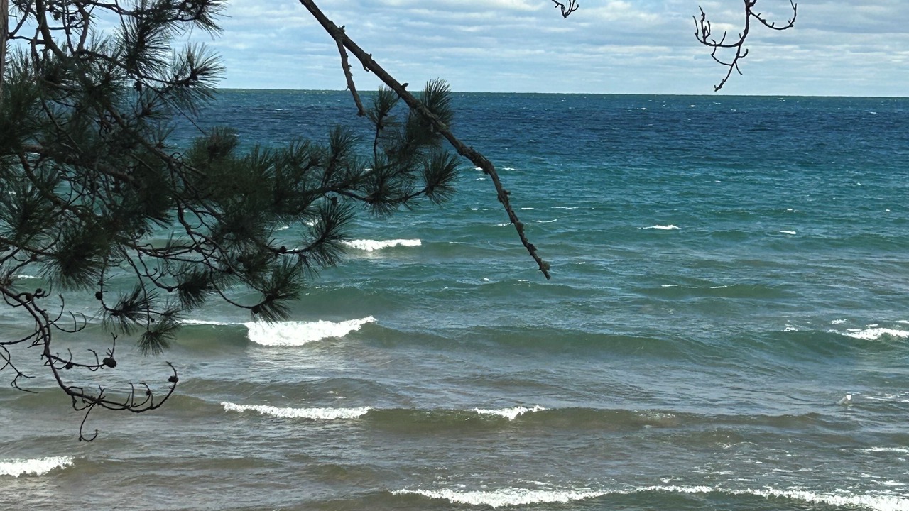 Photo of Others in Big Bay
