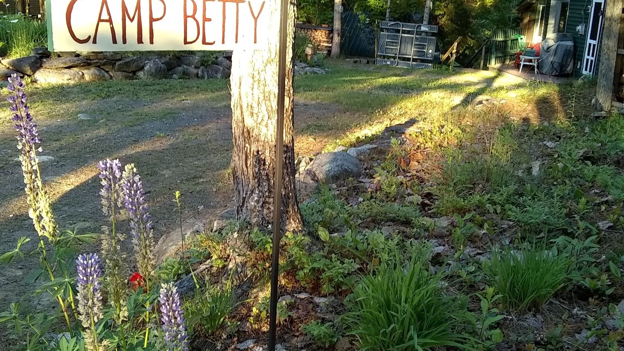 Photo of Others in Sidney