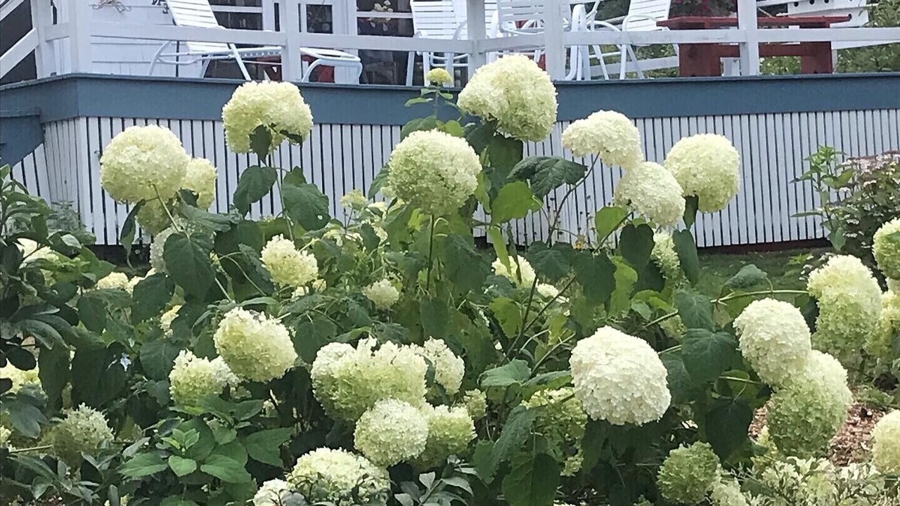 Photo of Outdoor in Pemaquid Point