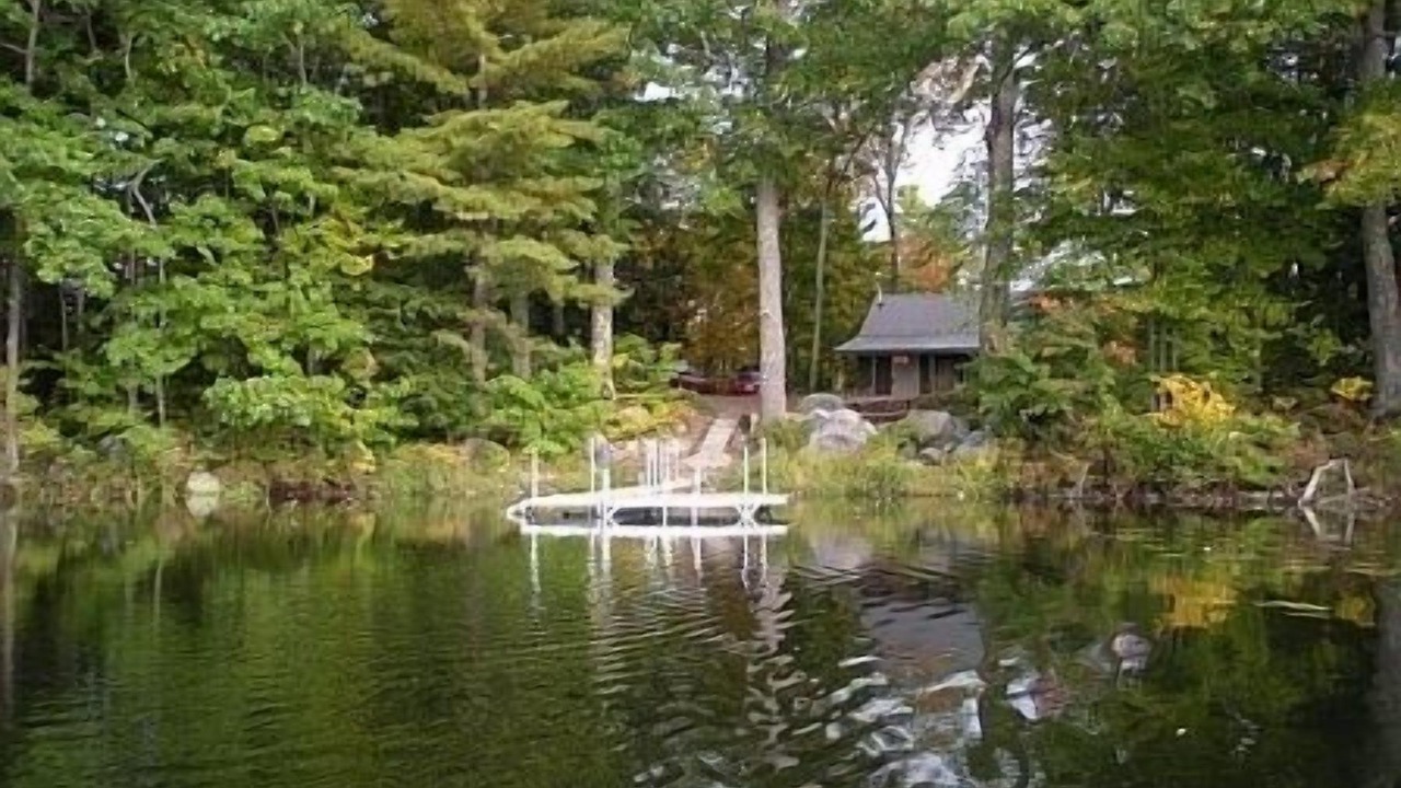 Photo of Others in Farmington Falls