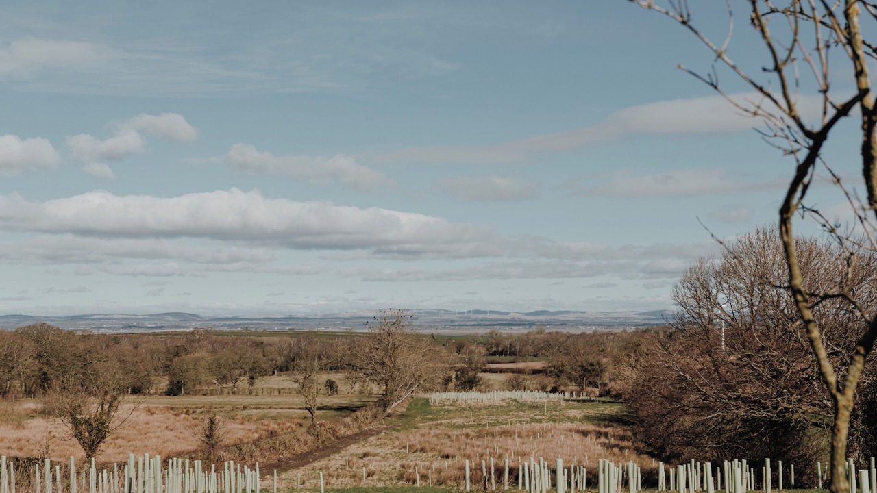 Photo of Others in Carlisle