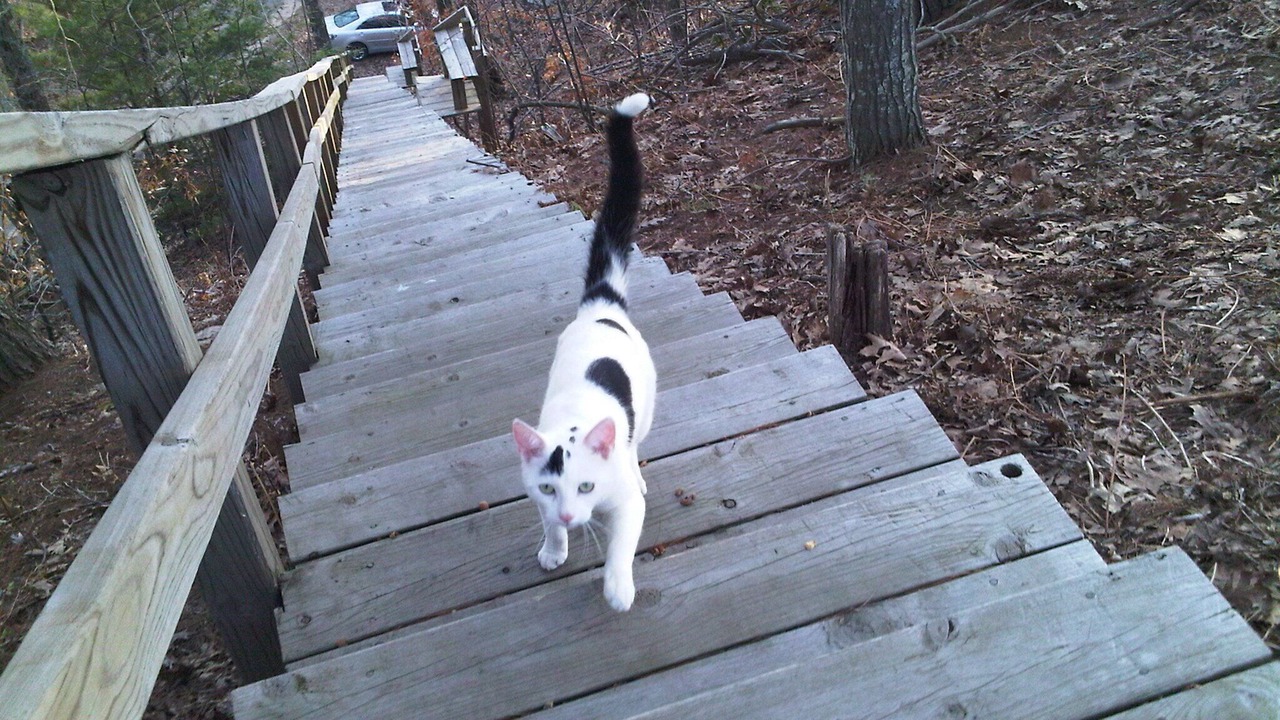 Photo of Others in Shelby