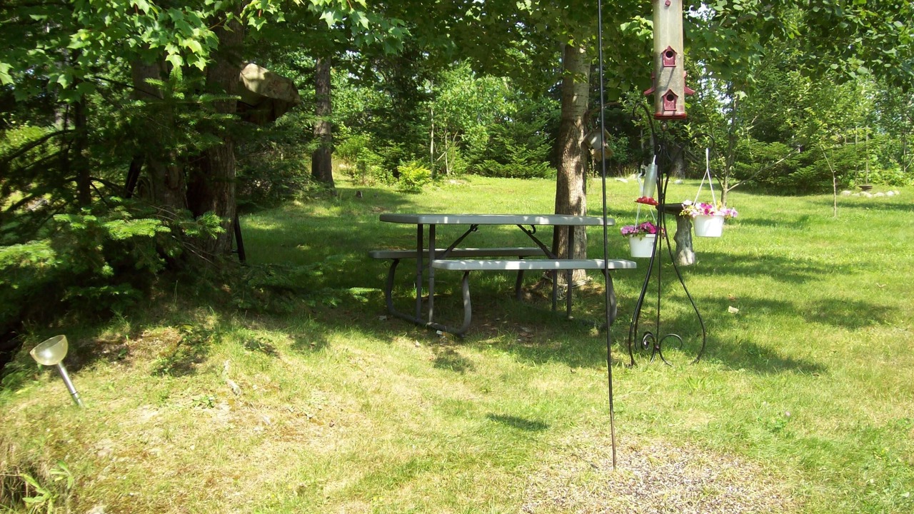 Photo of Others in Bar Harbor