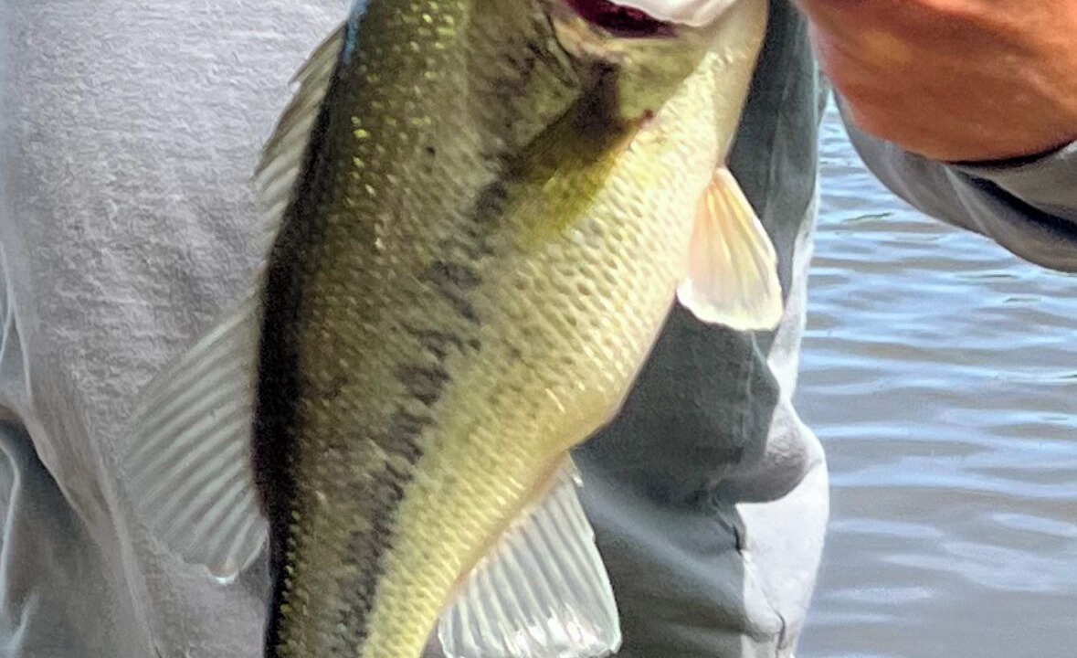 Photo of Others in Welchs Creek