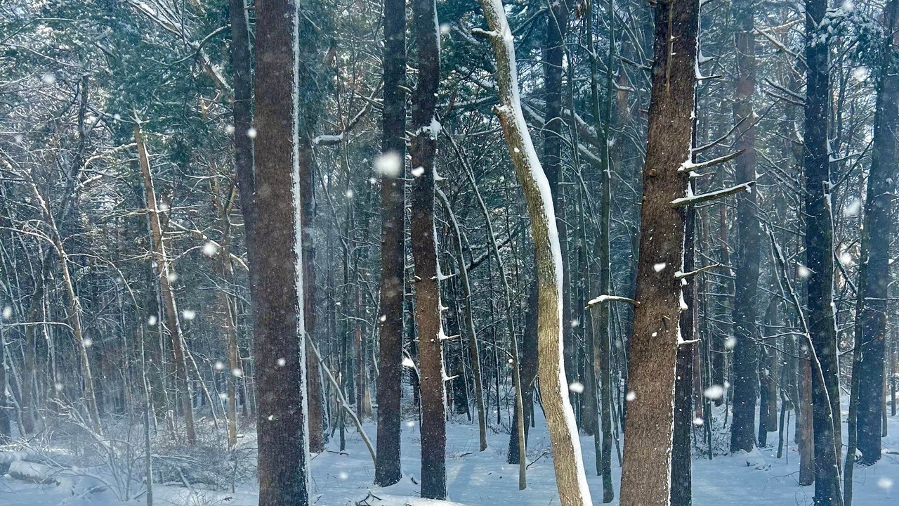 Photo of Others in Portage