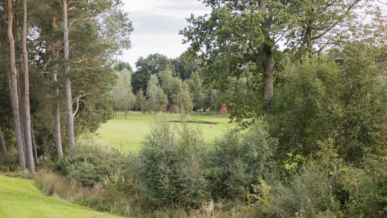 Photo of Others in Swarland