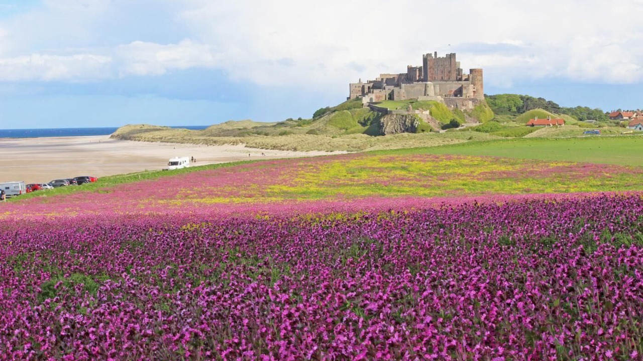 Photo of Others in Berwick-upon-Tweed