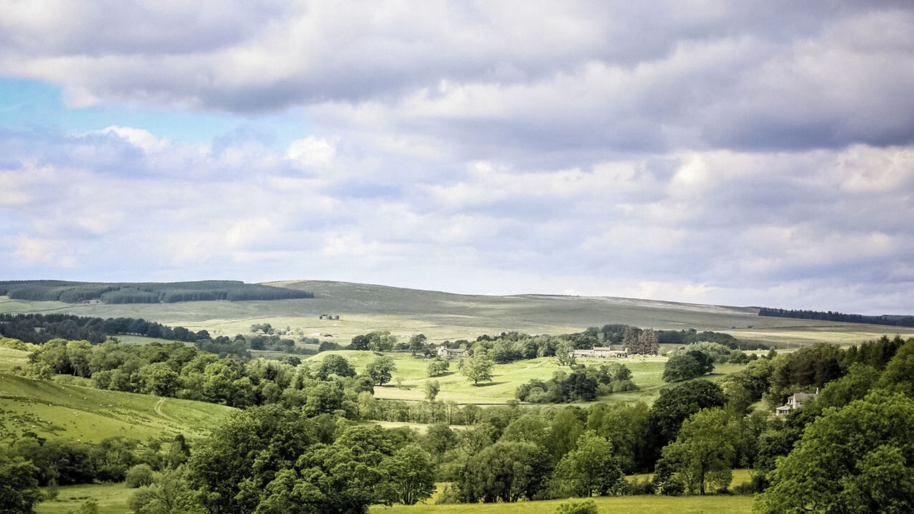 Photo of Outdoor in Tarset