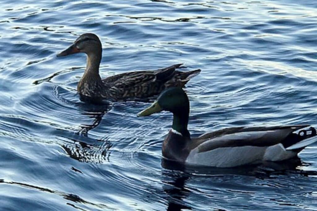 Photo of Others in Bremen