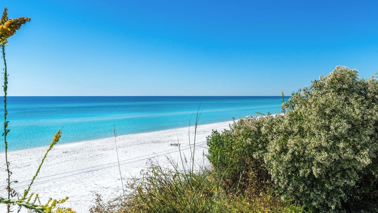 Photo of Others in Seagrove Beach