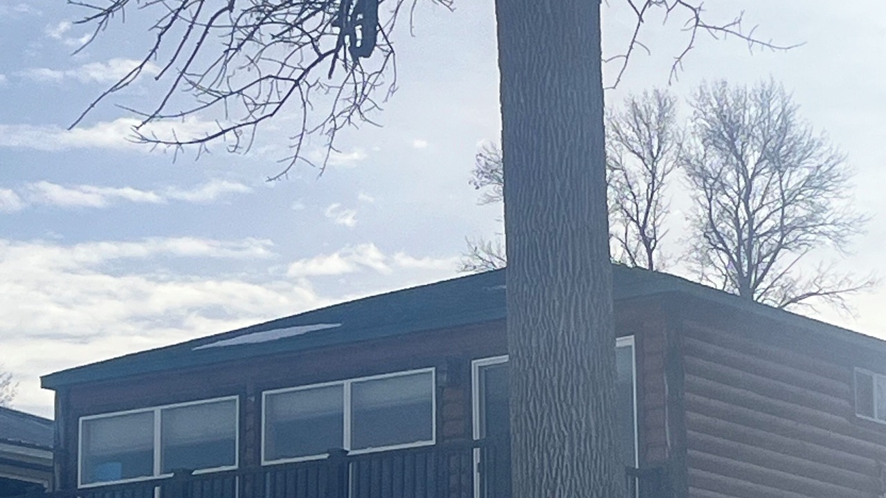 Photo of Outdoor in Osakis