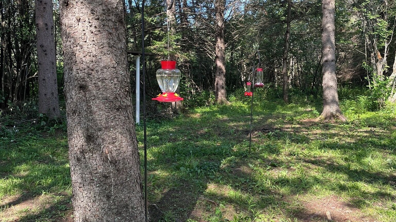 Photo of Outdoor in Culver