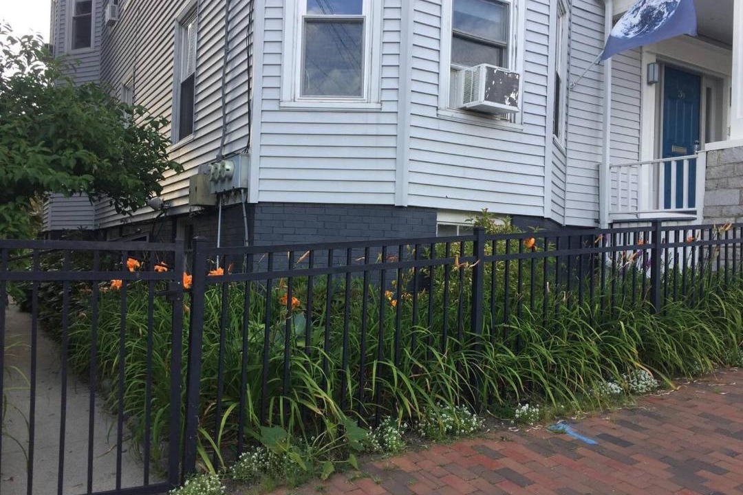 Photo of Others in Munjoy Hill