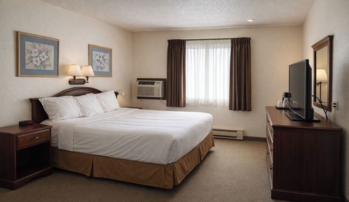 Room, 1 King Bed, Non Smoking
