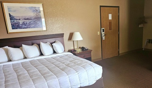 Basic Suite