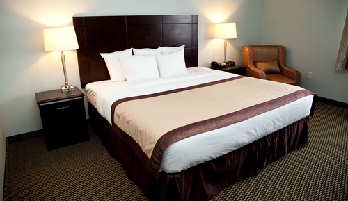 Room, 1 King Bed, Accessible, Non Smoking (Roll-in Shower)