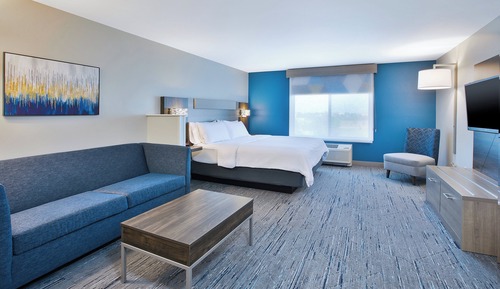 Suite, 1 King Bed with Sofa bed