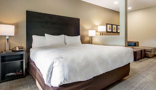 Suite, 1 King Bed with Sofa bed, Accessible, Non Smoking