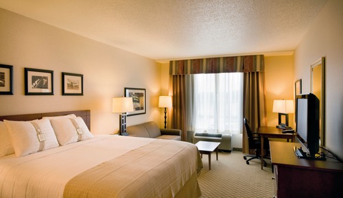 Standard Room, 1 King Bed, Accessible (Communications, Roll-In Shower)