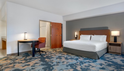 Room, 1 King Bed with Sofa bed, Accessible, Non Smoking (mob/hearing acc w/ roll-in shower)