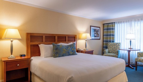 Deluxe Room 1 King Chase Building