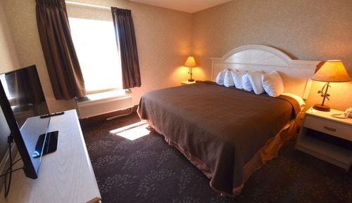 Room, 1 King Bed