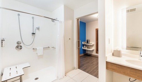 Standard Room, 1 King Bed (Roll-In Shower)
