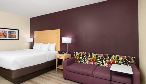 Room, 1 King Bed