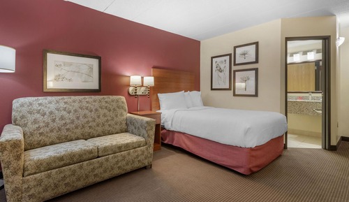 Standard Room, 1 Queen Bed, Non Smoking, Refrigerator & Microwave (with Sofabed)