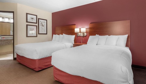 Standard Room, 2 Queen Beds, Non Smoking, Refrigerator & Microwave (Pet Friendly)