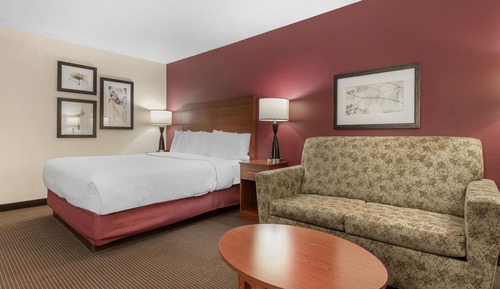 Standard Room, 1 King Bed, Non Smoking, Refrigerator & Microwave (with Sofabed)