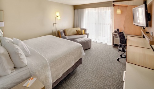 Room, 1 King Bed with Sofa bed