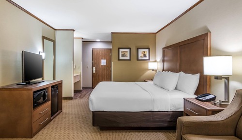 Standard Room, 1 King Bed, Non Smoking