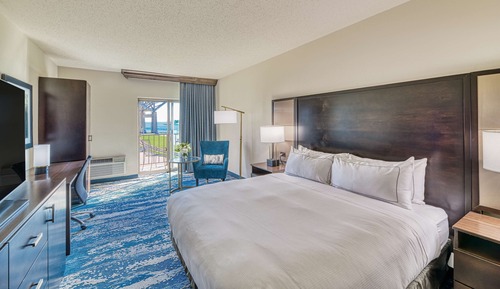 Room, 1 King Bed