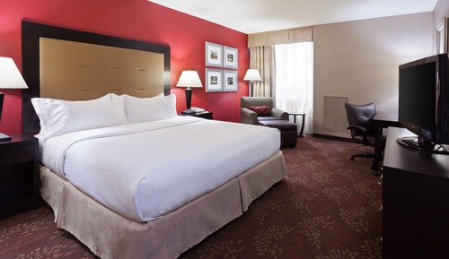 Standard Room, 1 King Bed, Accessible Bathtub (Mobility)