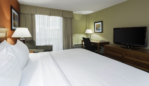 Standard Room, 1 King Bed with Sofa bed