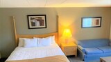Standard Single Room, 1 King Bed, Smoking