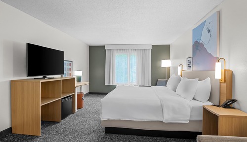 Room, 1 King Bed with Sofa bed
