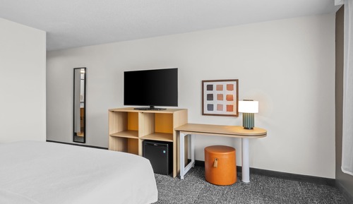 Room, 1 King Bed, Accessible (Mobility & Hearing, Roll-in Shower)